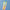 Three pastel gradient taper candles in yellow, blue, and pink against a blue background.