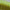 Row of lime green and pale yellow gradient taper candles