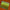 A set of dual-tone yellow and green taper candles arranged in a white gift box.