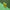 Three yellow gradient taper candles against a two-tone green background.
