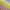 A row of yellow and pink gradient taper candles in a white box.